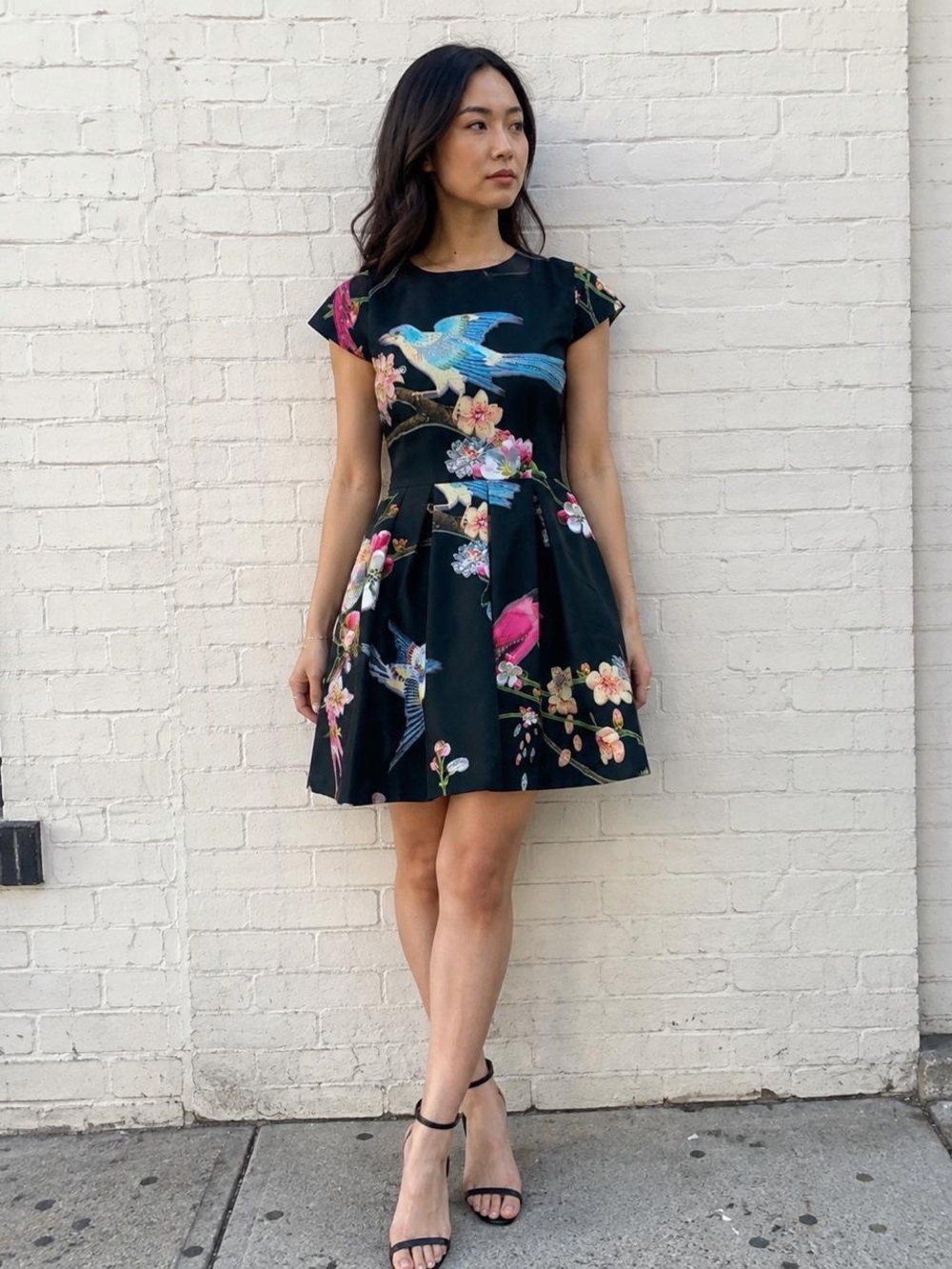 Ted Baker Zaldana Flight of the Orient Skater Dress Size 3 US 8
